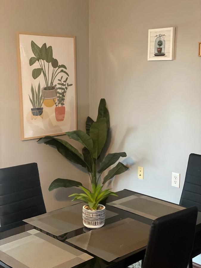 Ferienwohnung Cute 2-Brm Walkout Apt With Pool Table And Theater Lexington Exterior foto
